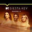 Siesta Key, Seasons 1 - 4 cast, spoilers, episodes, reviews