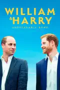 William & Harry: Unbreakable Bond summary, synopsis, reviews