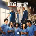 Everything Has Changed - Grey's Anatomy from Grey's Anatomy, Season 19