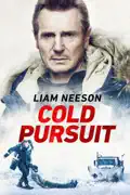 Cold Pursuit summary, synopsis, reviews