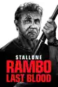 Rambo: Last Blood summary and reviews