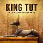 King Tut: A Century of Secrets, Season 1