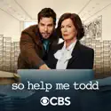 So Help Me Todd, Season 1 release date, synopsis and reviews