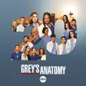 Never Felt so Alone - Grey's Anatomy from Grey's Anatomy, Season 20
