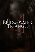 The Bridgewater Triangle summary, synopsis, reviews