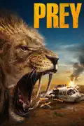 Prey (2024) reviews, watch and download