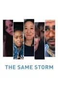 The Same Storm summary, synopsis, reviews