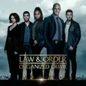 Law & Order: Organized Crime, Season 3 watch, hd download