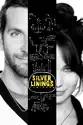 Silver Linings Playbook summary and reviews