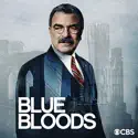 Blue Bloods, Season 14 release date, synopsis and reviews