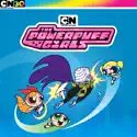The Powerpuff Girls (Classic): The Complete Series release date, synopsis, reviews