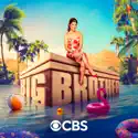 Big Brother, Season 24 reviews, watch and download