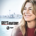 Grey's Anatomy, Season 15 cast, spoilers, episodes, reviews