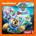 Sea Patrol: Pups Save the Flying Diving Bell/Sea Patrol: Pups Save a Soggy Farm (PAW Patrol) recap, spoilers
