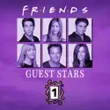 Friends, The One With All the Guest Stars, Vol. 1 watch, hd download