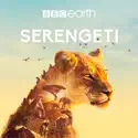 Serengeti cast, spoilers, episodes and reviews