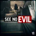 See No Evil, Season 6 cast, spoilers, episodes, reviews