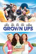 Grown Ups (2010) summary, synopsis, reviews
