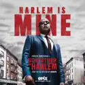 Godfather of Harlem, Season 1 cast, spoilers, episodes, reviews