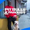 Pit Bulls and Parolees, Season 15 watch, hd download