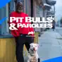Pit Bulls and Parolees, Season 15