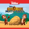 Chip 'N Dale's Nutty Tales, Vol. 2 cast, spoilers, episodes, reviews