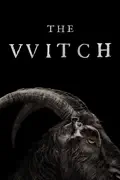 The Witch summary, synopsis, reviews