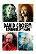 David Crosby: Remember My Name summary, synopsis, reviews