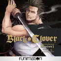 Black Clover, Season 1, Pt. 4 (Original Japanese Version) watch, hd download