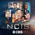 NCIS, Season 17 cast, spoilers, episodes, reviews