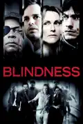 Blindness summary, synopsis, reviews