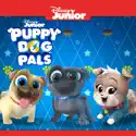 Puppy Dog Pals, Vol. 4 watch, hd download