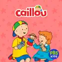 Caillou, Vol. 8 watch, hd download