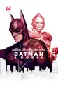 Batman & Robin summary and reviews