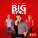 If the Ring Fits (Little People, Big World) recap, spoilers