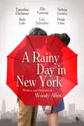 A Rainy Day in New York summary, synopsis, reviews