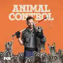Rabbits and Pythons - Animal Control from Animal Control, Season 1