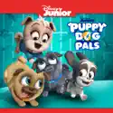 Puppy Dog Pals, Vol. 5 cast, spoilers, episodes and reviews