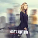 Put on a Happy Face (Grey's Anatomy) recap, spoilers