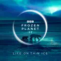 Frozen Worlds - Frozen Planet from Frozen Planet II