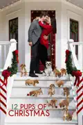 12 Pups of Christmas summary, synopsis, reviews