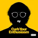 Curb Your Enthusiasm, Season 10 cast, spoilers, episodes, reviews