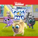 Puppy Dog Pals, Vol. 6 watch, hd download