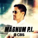 Magnum P.I., Season 2 watch, hd download