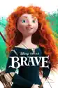 Brave summary and reviews