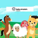 Baby Einstein Classics, The Complete Collection release date, synopsis, reviews
