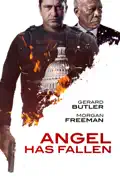 Angel Has Fallen summary, synopsis, reviews