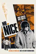 Mr. Nice summary, synopsis, reviews