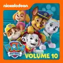 Pups Rescue Thanksgiving / Pups Save a Windy Bay - PAW Patrol from PAW Patrol, Vol. 10