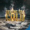 Bering Sea Gold, Season 12 cast, spoilers, episodes, reviews
